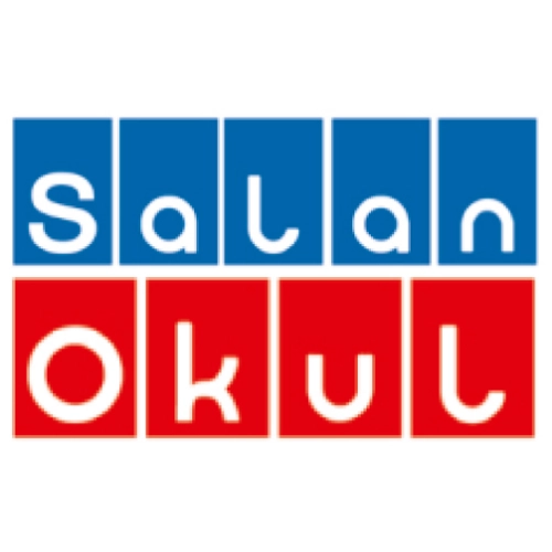 Salan Okul Yayınları Kitapları