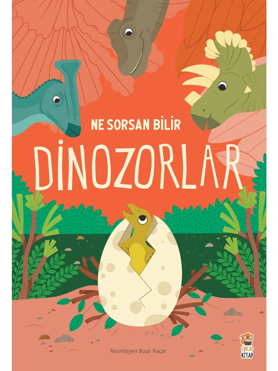 Sincap Kitap Ne Sorsan Bilir Dinozorlar Okul Öncesi Kitap Benim İlk Dinozorlar Kitabım - Buse Kaçar