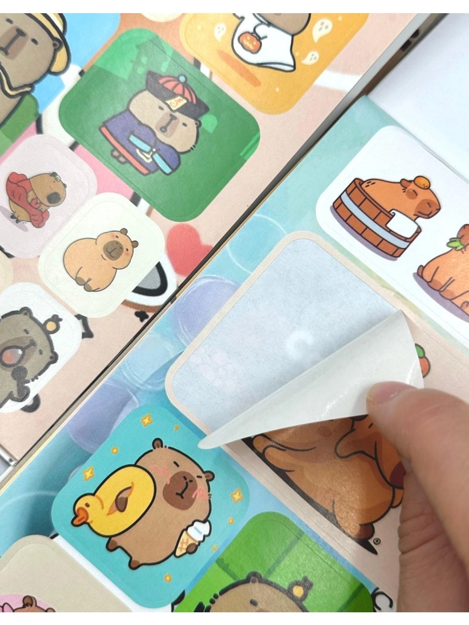 Capybara Karakterleri Sticker Albümü 16 Sayfa Kahverengi Renk Defter Sticker