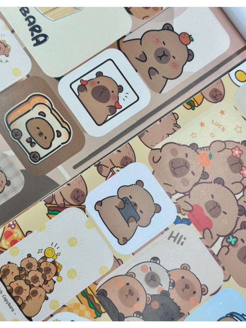 Capybara Karakterleri Sticker Albümü 16 Sayfa Kahverengi Renk Defter Sticker