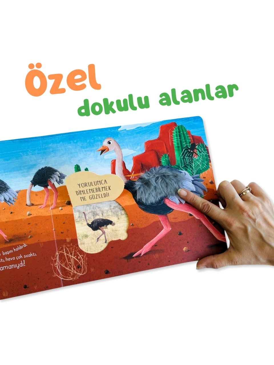 Sincap Kitap İlk Dokun Hisset Kitabım: Çöle Dokun - Melek Dinçer