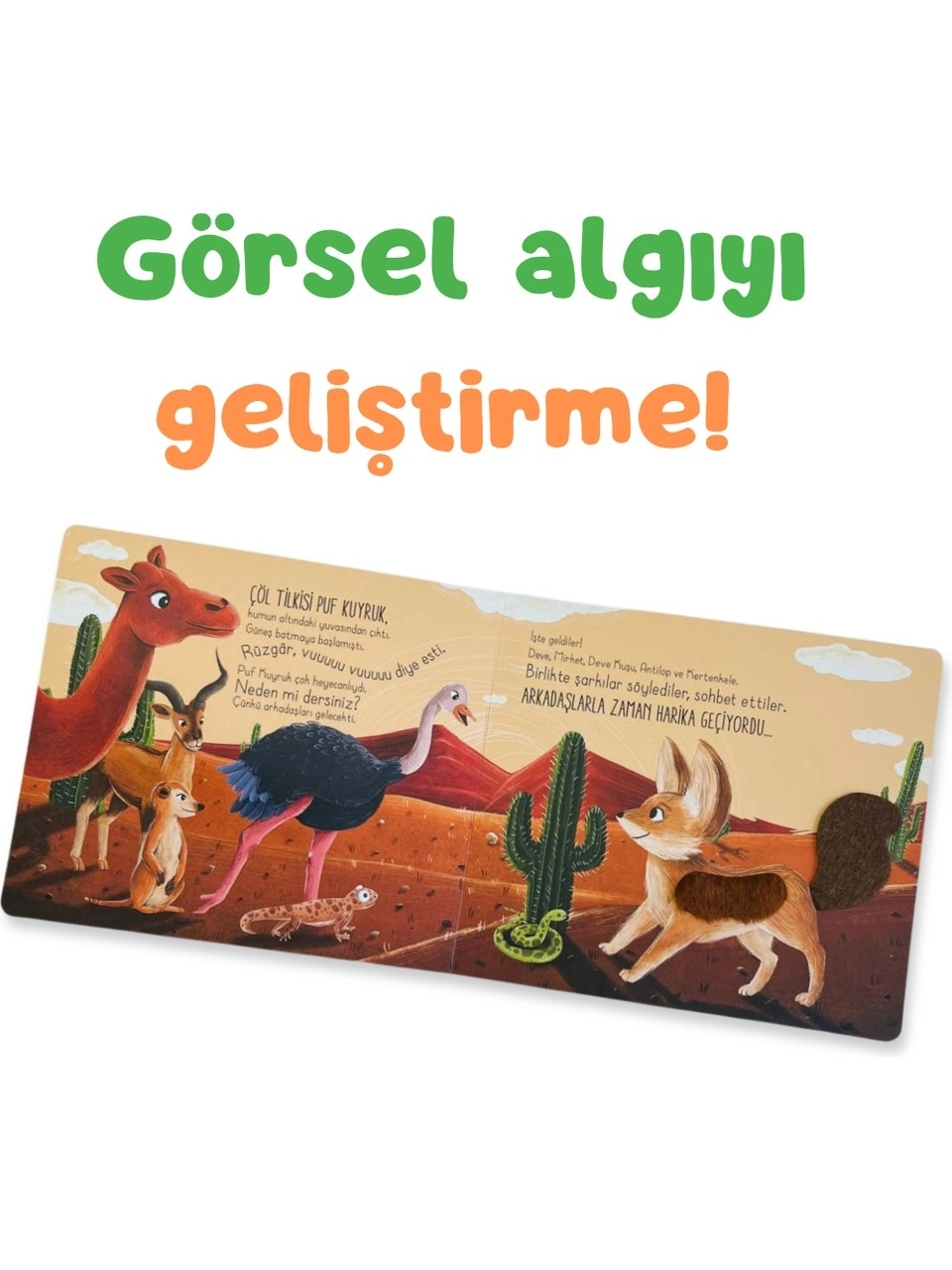 Sincap Kitap İlk Dokun Hisset Kitabım: Çöle Dokun - Melek Dinçer