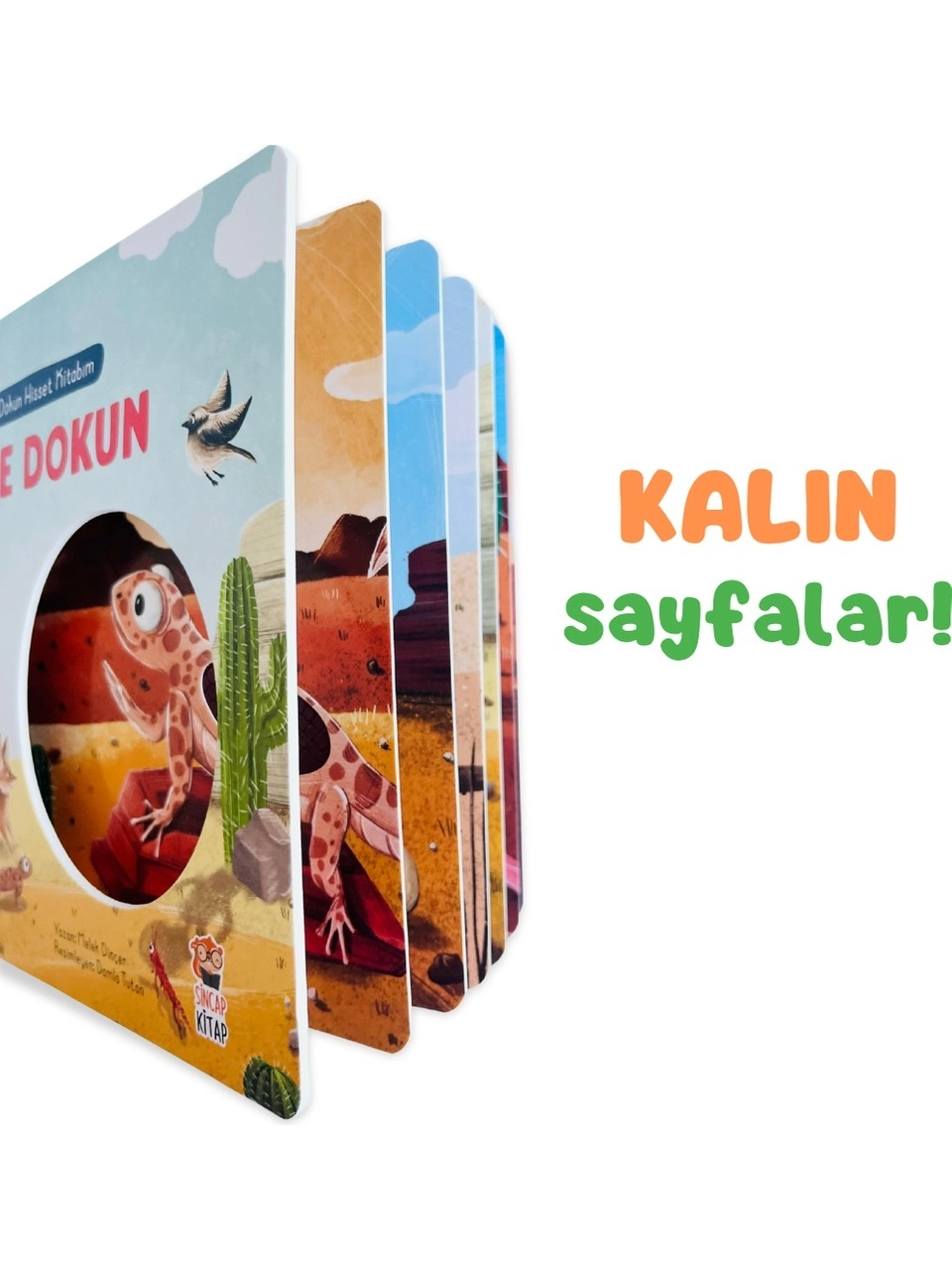 Sincap Kitap İlk Dokun Hisset Kitabım: Çöle Dokun - Melek Dinçer