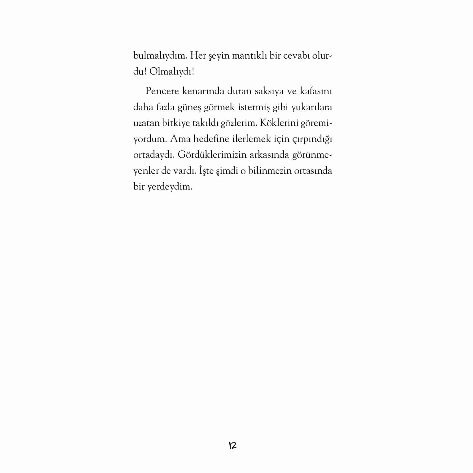 İlk Genç Timaş Linç Çıkmazı - Anıl Basılı