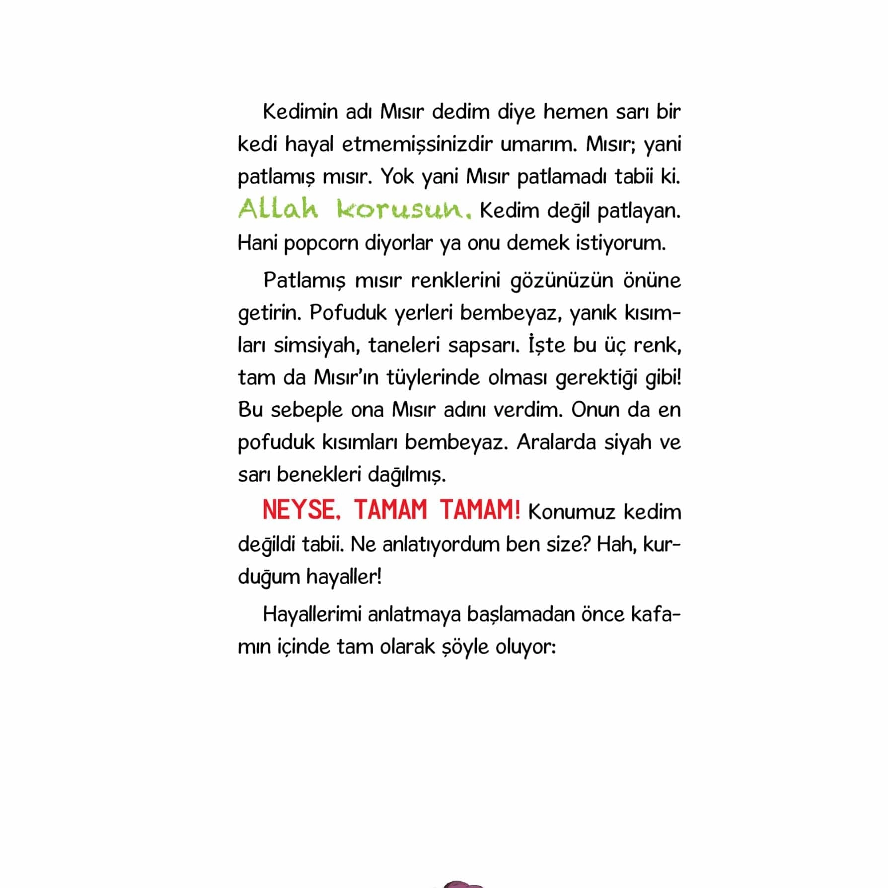 Timaş Çocuk - Bir Hayal Burnunuzdan Kaçarsa - Didem Demirel