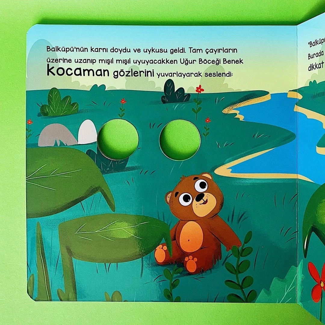 Sincap Kitap Ayı Bal Küpü ve Sevimli Dostları - Bu Kocaman Gözler Kimin? Okul Öncesi Kitap - Asiye Aslı Aslaner