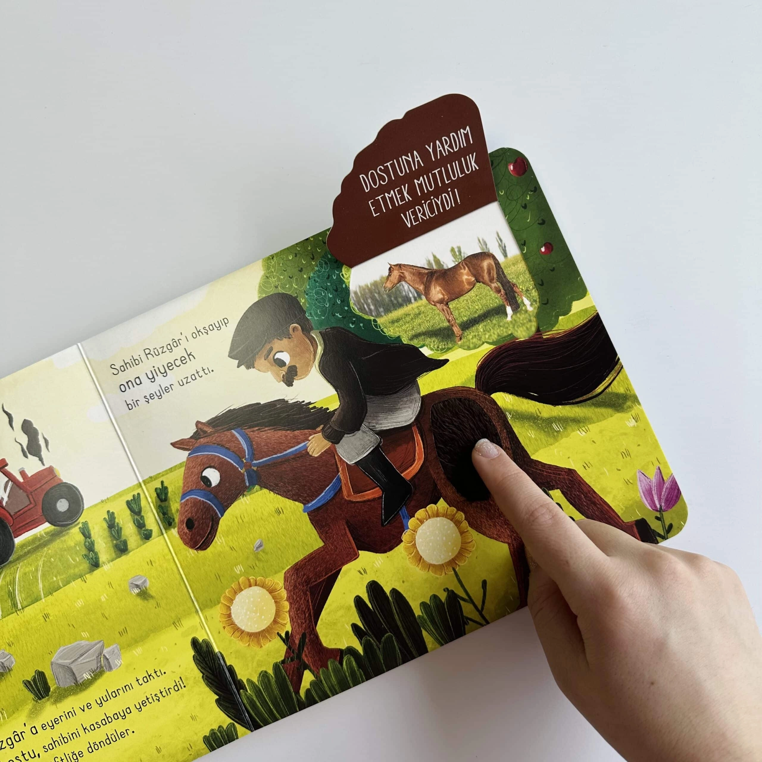 Sincap Kitap İlk Dokun Hisset Kitabım: Çiftliğe Dokun - Melek Dinçer