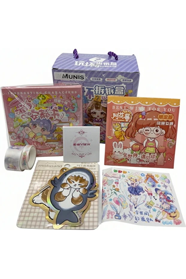 Munis Gift Box Sürpriz Küçük Kutu Sticker & Washi Bant Seti