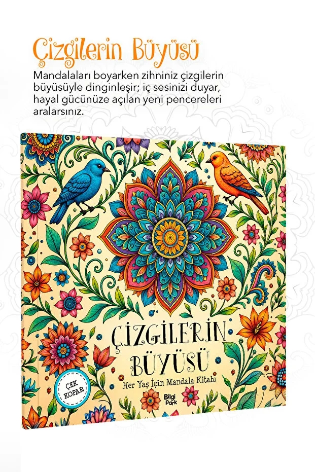 ÇİZGİLERİN BÜYÜSÜ – Her Yaş İçin Mandala - Çek Kopar
