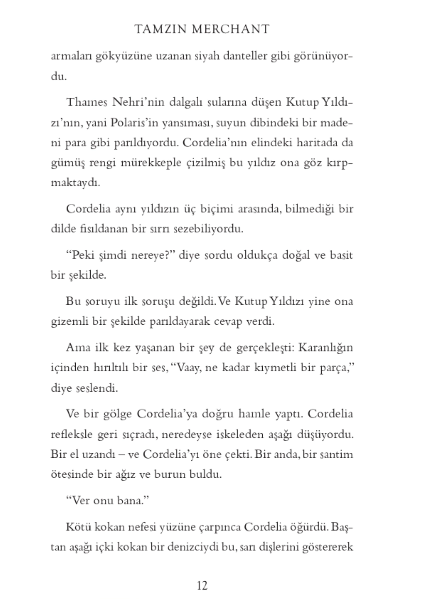 Genç Timaş Zanaatkarlar Birleşsin... Sihir Canlansın... Haritacılar - Tamzin Merchant