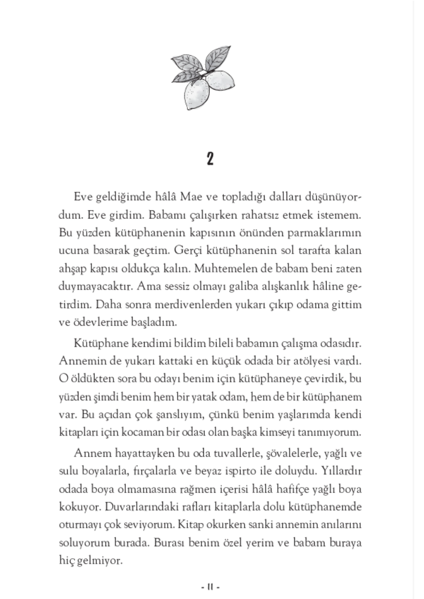 Genç Timaş   Limon Kütüphanesi Jo Cotterill