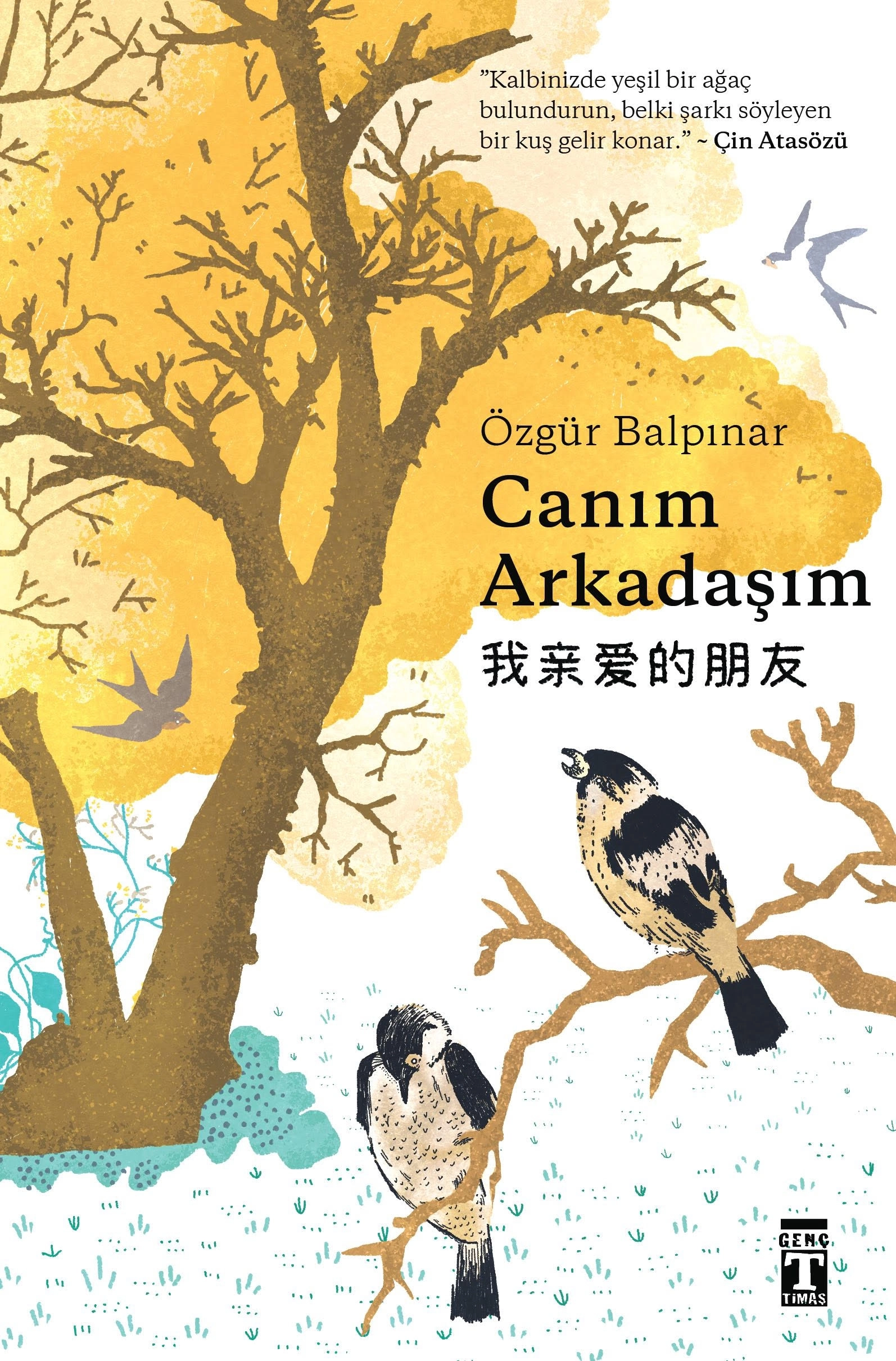 Genç Timaş   Canım Arkadaşım - Özgür Balpınar