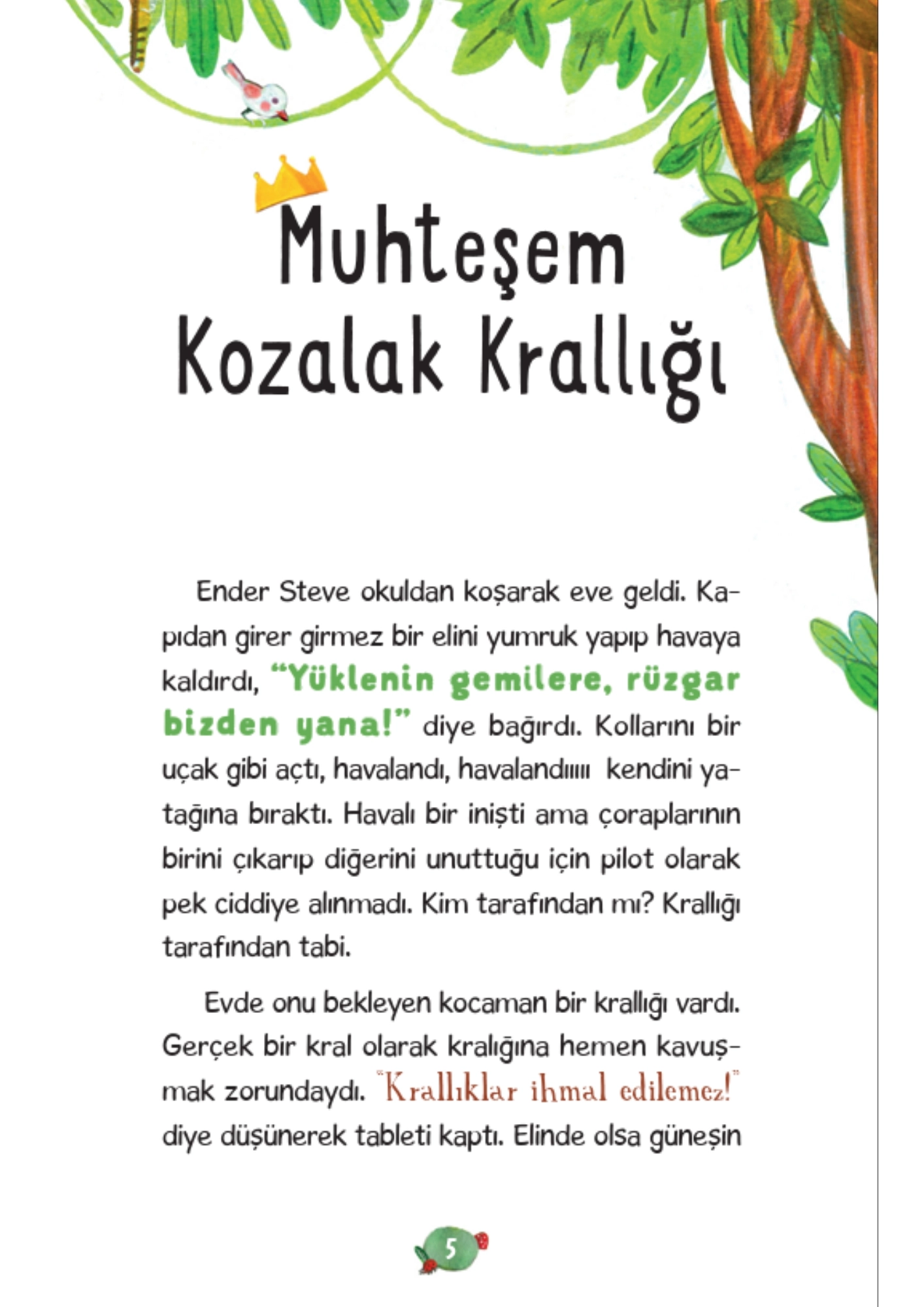 Timaş Çocuk   Kozalak Krallığı Büşra Ümmühan