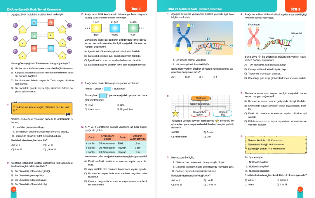 FENOMEN 8 FEN BİLİMLERİ 2.FASİKÜL (DNA VE GENETİK KOD)