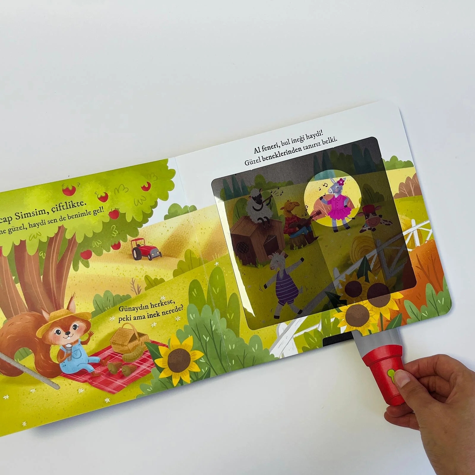 Sincap Kitap Bulurum Seni Çiftlikte Fenerli Kitap Okul Öncesi Kitap - M. Sacide Kafalı