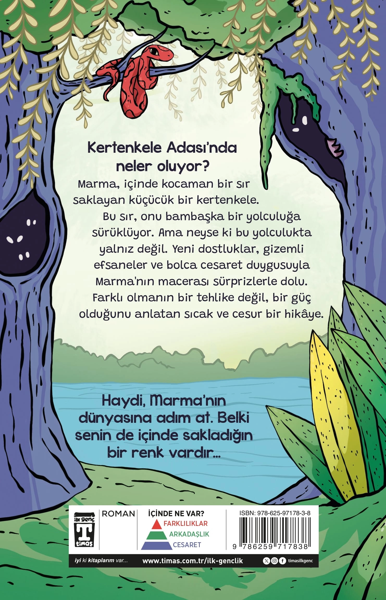 İlk Genç Timaş Gizli Renkler Adası - Talip Kurşun