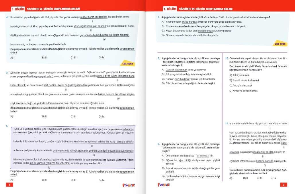 FENOMEN 8 TÜRKÇE LGS ÇIKMIŞ SORULAR VE İKİZ SORULARI (2018-2024)