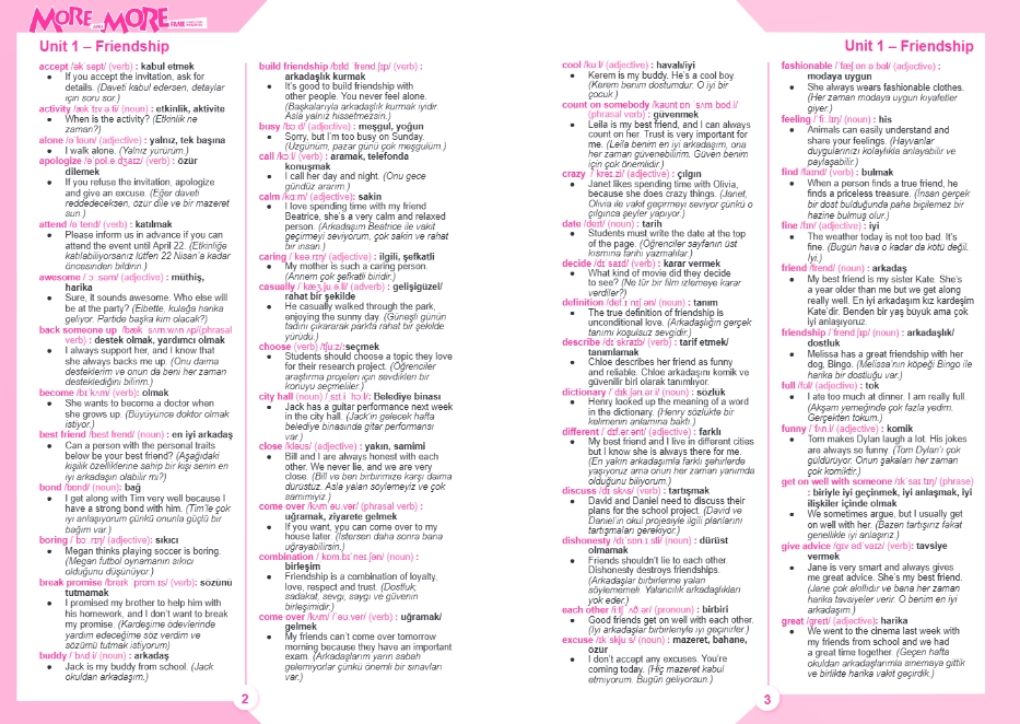 8.SINIF MORE & MORE PRACTICE BOOK & REVISION TESTS & DICTIONARY (3 KİTAP)