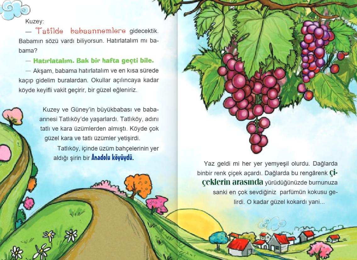 4.SINIF OKUMA KİTABI BAĞDAKİ BALONLAR