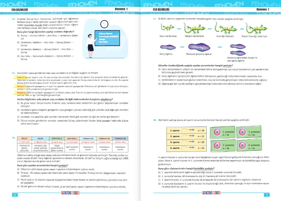 FENOMEN 7 FEN BİLİMLERİ DENEMELER (10 DENEME)