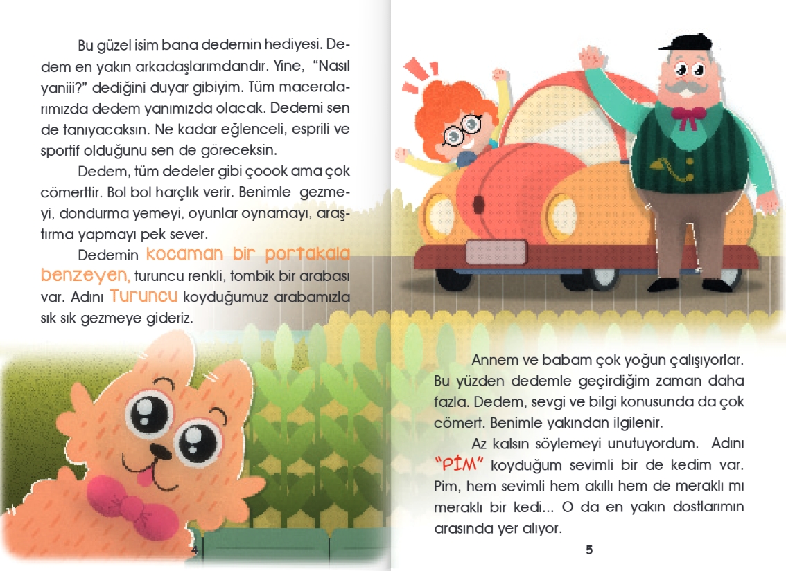 3.SINIF HİKAYE SETİ ZEVKİSELİM SERİSİ (10 KİTAP)