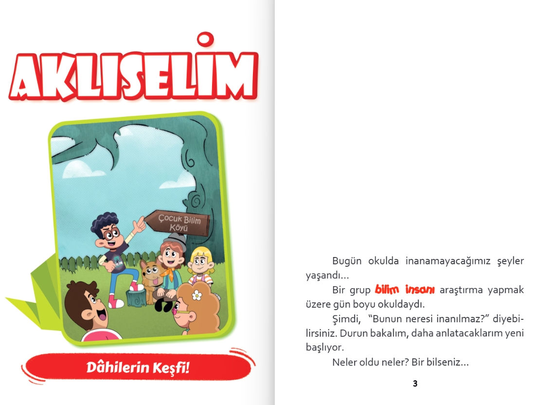 4.SINIF HİKAYE SETİ AKLISELİM SERİSİ (10 KİTAP)