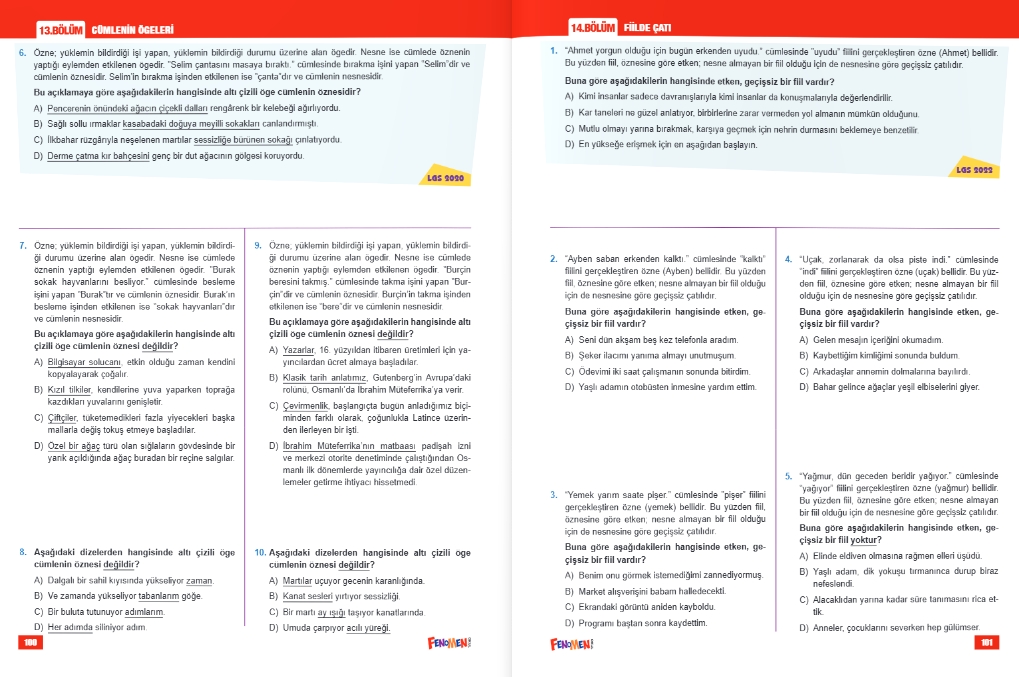 FENOMEN 8 TÜRKÇE LGS ÇIKMIŞ SORULAR VE İKİZ SORULARI (2018-2024)