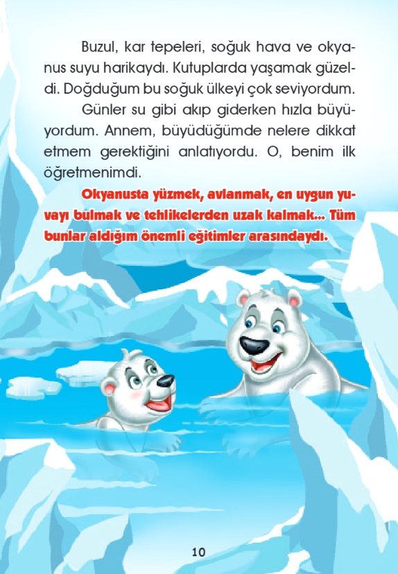 3.SINIF OKUMA KİTABI BUZİ
