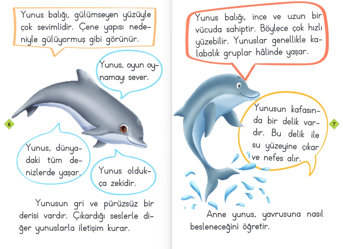 1.SINIF HİKAYE SETİ KEŞFET SERİSİ (10 KİTAP)