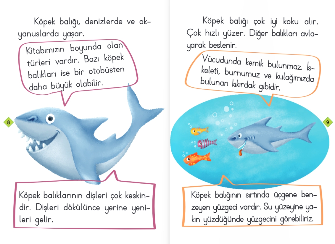 1.SINIF HİKAYE SETİ KEŞFET SERİSİ (10 KİTAP)