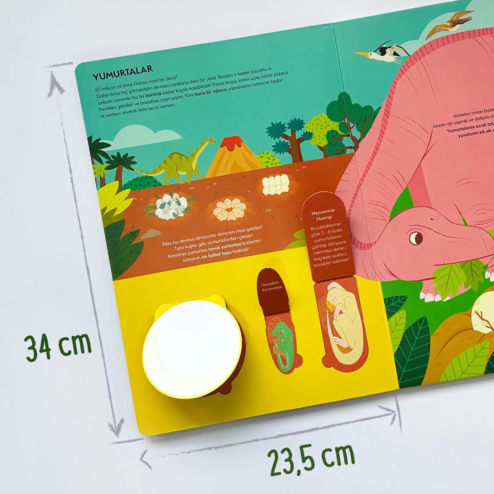 Sincap Kitap Ne Sorsan Bilir Dinozorlar Okul Öncesi Kitap Benim İlk Dinozorlar Kitabım - Buse Kaçar