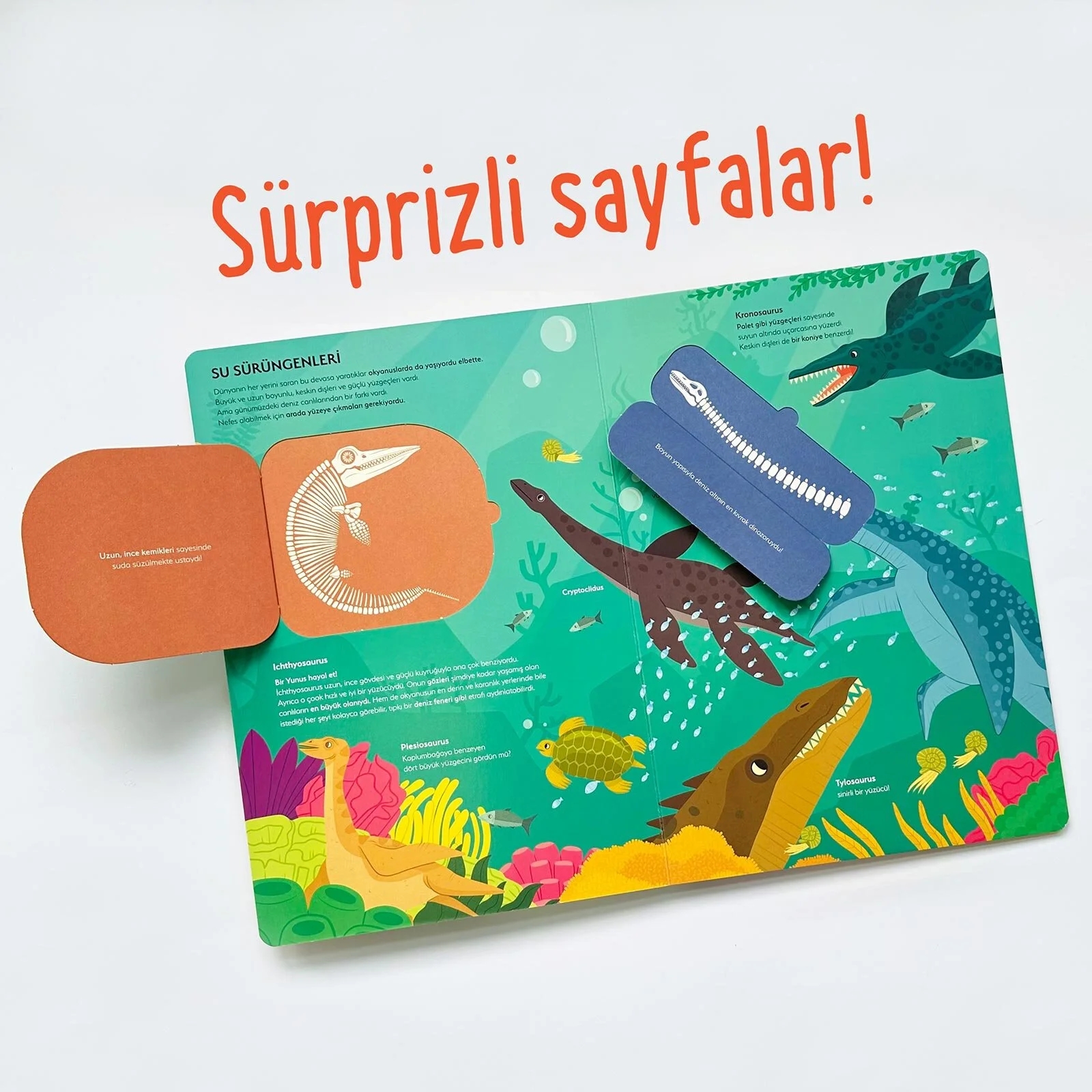 Sincap Kitap Ne Sorsan Bilir Dinozorlar Okul Öncesi Kitap Benim İlk Dinozorlar Kitabım - Buse Kaçar