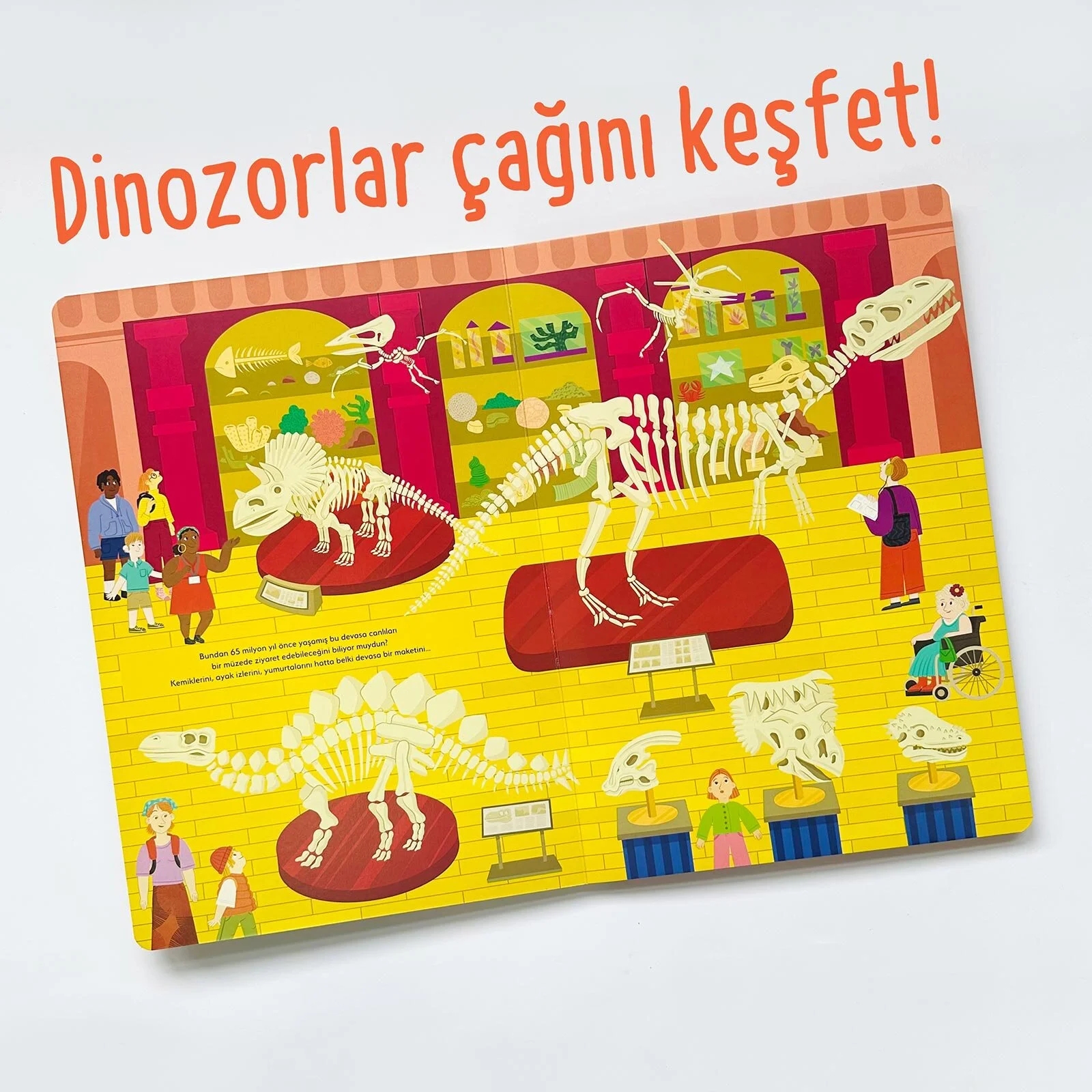 Sincap Kitap Ne Sorsan Bilir Dinozorlar Okul Öncesi Kitap Benim İlk Dinozorlar Kitabım - Buse Kaçar