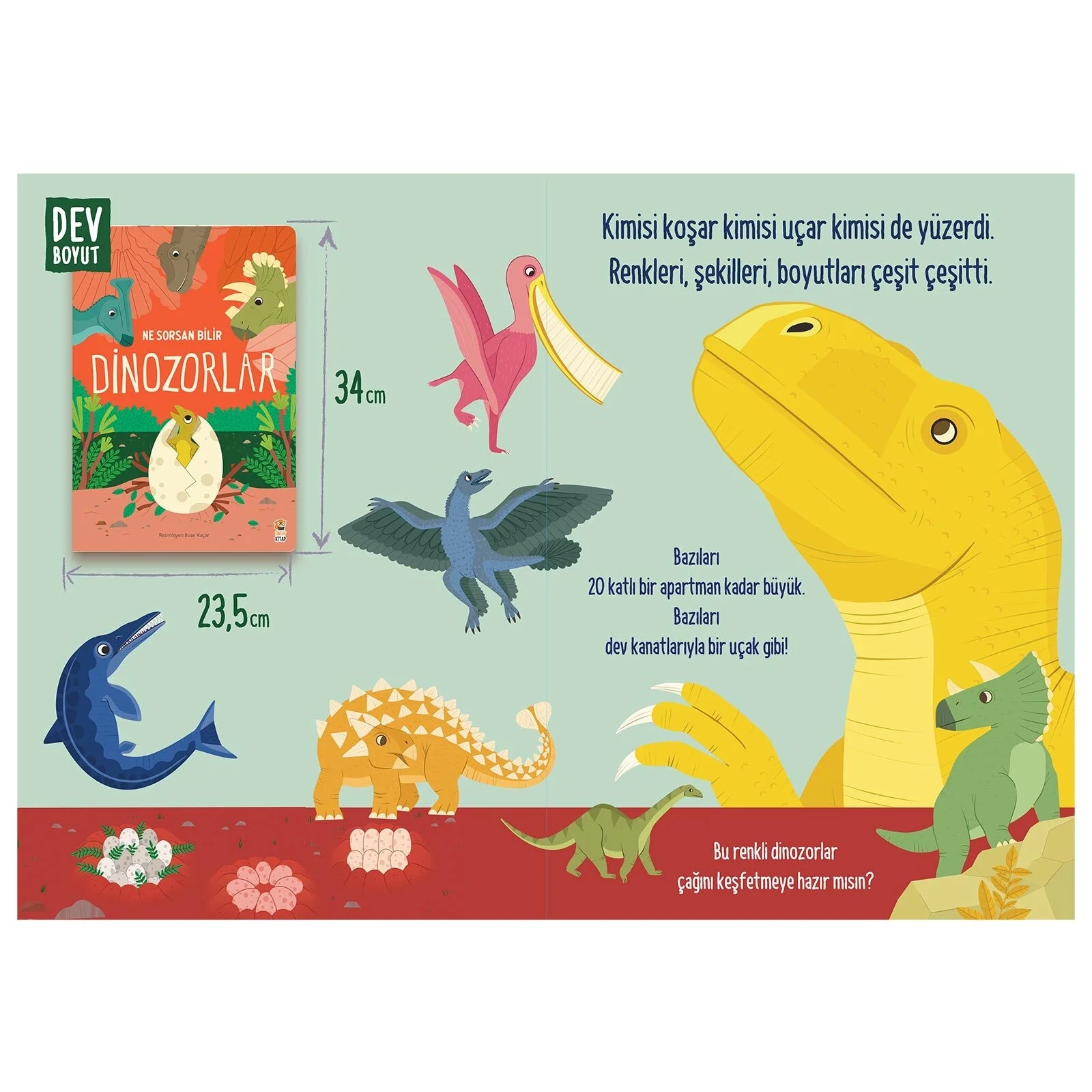 Sincap Kitap Ne Sorsan Bilir Dinozorlar Okul Öncesi Kitap Benim İlk Dinozorlar Kitabım - Buse Kaçar