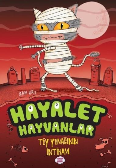 Hayalet Hayvanlar Serisi Çocuk Okuma Kitapları