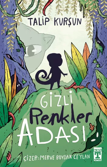 Gizli Renkler Adası - Talip Kurşun