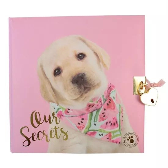 Dolphin Hatıra Defteri Studıo Pets Kilitli 